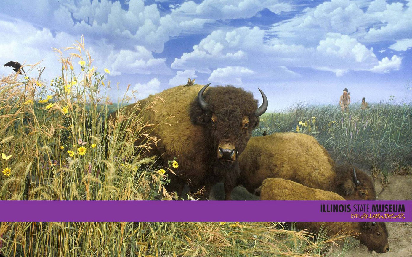 Illinois State Museum